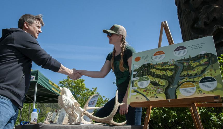 mosier_festival_0002766.jpg