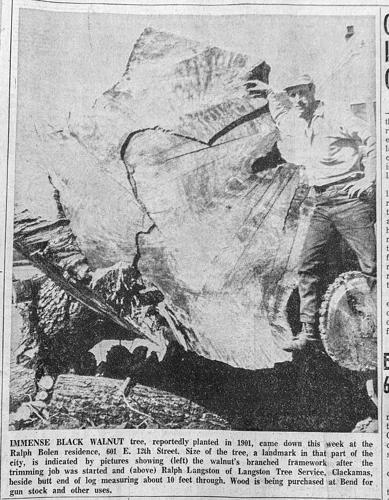TD_history_IMG_5334.JPG