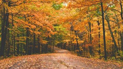 Blue Ridge Parkway Fall Foliage - Unsplash+ License