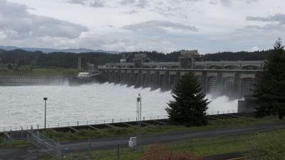 BPA expects ‘normal’ water year for dam operations