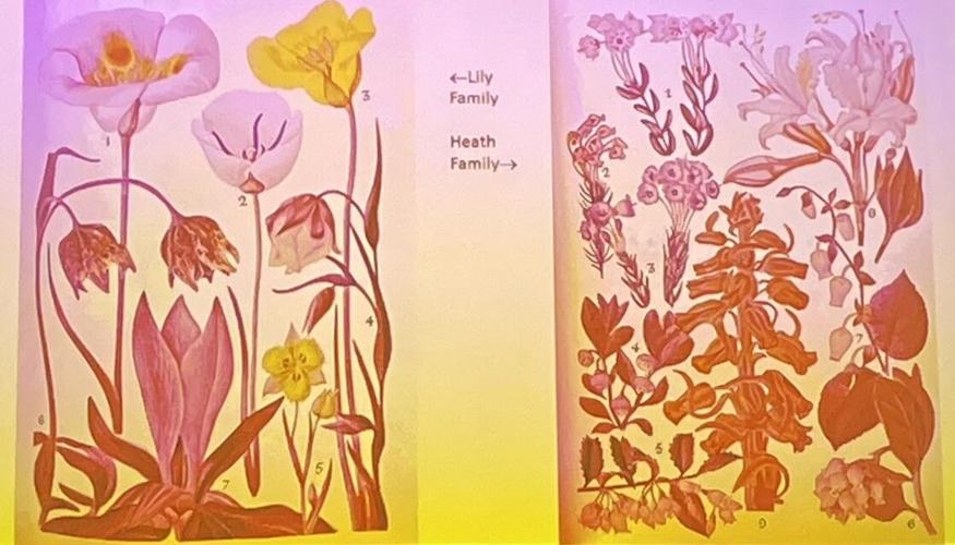Wild About Nature April 21