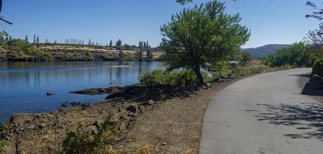 Riverfront Trail illegal clear cut
