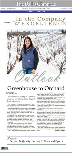 In the Company of Excellence pdf online