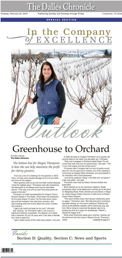 In the Company of Excellence pdf online