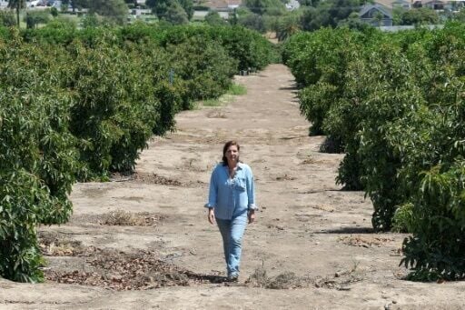 Farmer Lisa Tate fears the US crackdown on farmworkers could lead to food insecurity