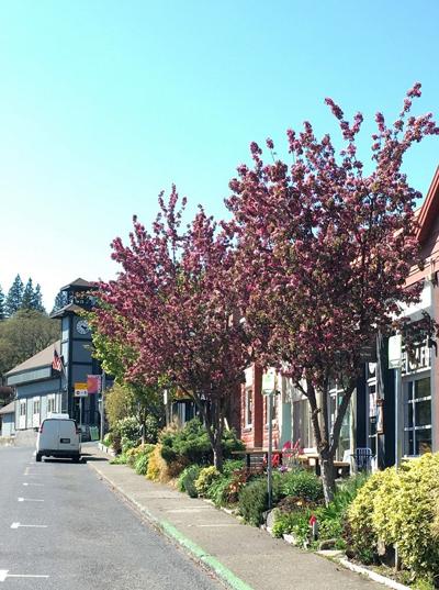 A4 arbor day WhiteSalmon_floweringappletrees_ArborDay2020_KJenkins.jpg