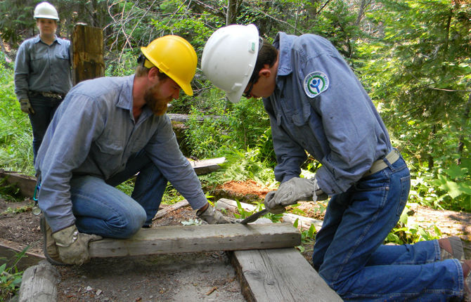 At Work in the Woods