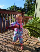 Digging in: Why gardening     with kids is worth the mess