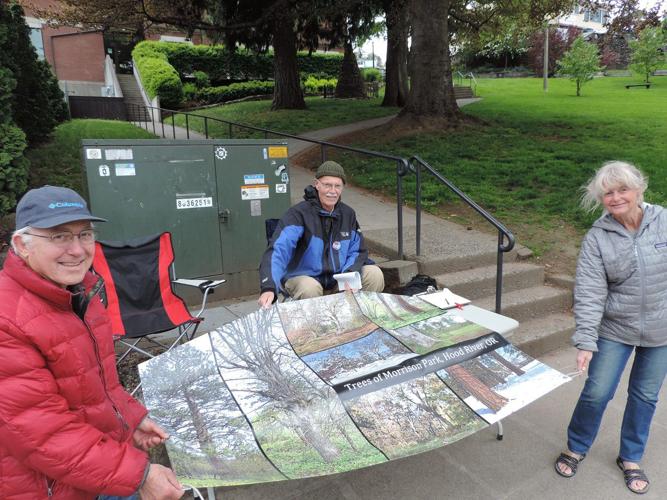 On the Agenda: Council holds Morrison Park rezone hearing May 11