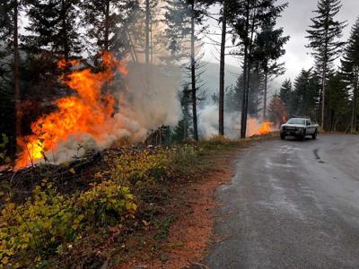 USFS Burn piles