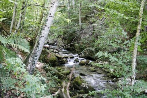 An untouched part of the riverbed of the Dosnica river in Mount Kozuf near the city of Gevgelija