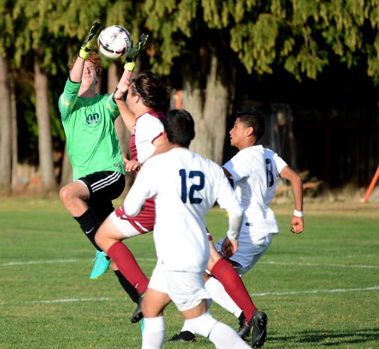 HRV BOYS SOCCER: First playoff rematch results in a win for HRV