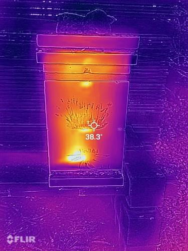 Winter Cluster Hive #1.jpeg