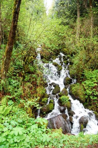 Hikers hunt for ‘hidden jewel’