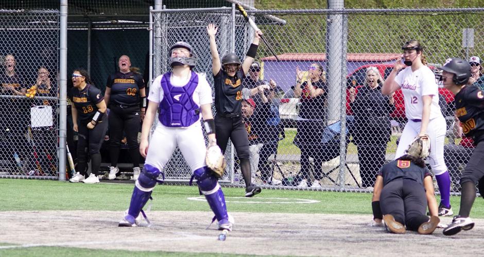 TD scores celebrating hawks.jpg