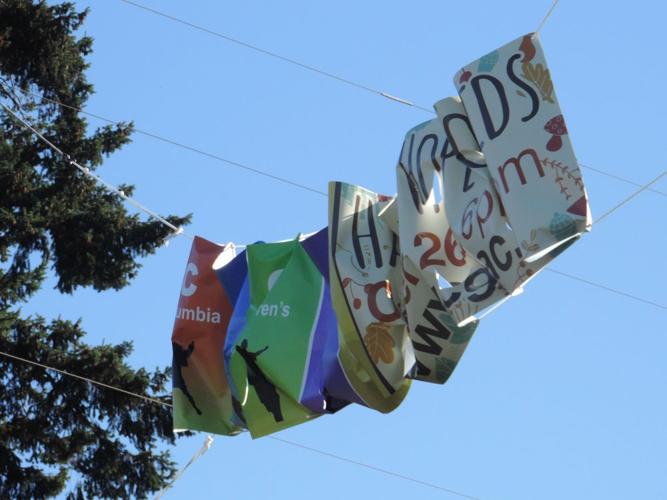 KAL unseen of 19 (7).JPG