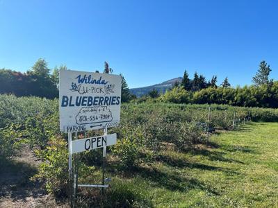 Wilinda Blueberry Patch, Hood River