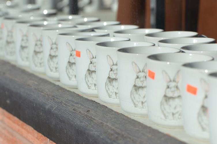 Bunnies at St Vinnies