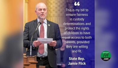 jamie flick child custody reform hearing november 2025