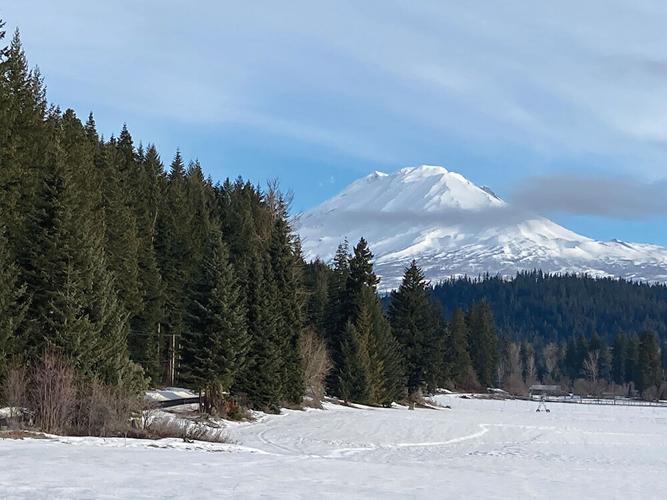 A1 Trout Lake clearcut MAIN