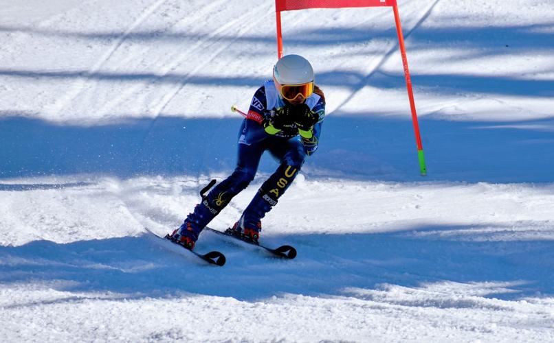 Ski HR #2 Anne Johnson .jpg