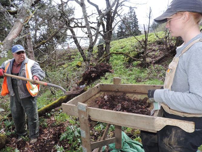 KAL unseen of 19 (8).JPG