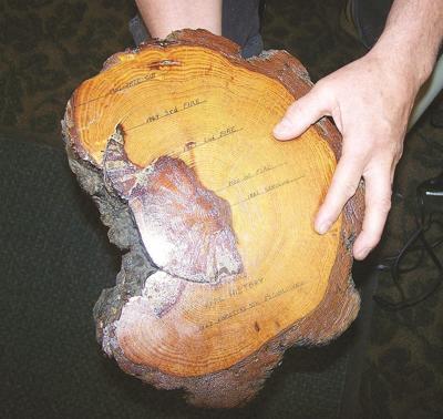 First in series of nature lectures at local library draws full house