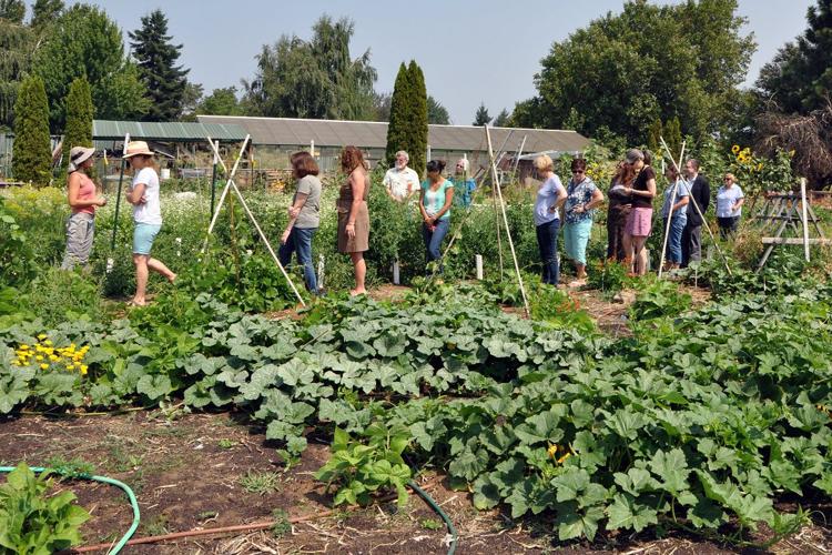 Food Bank garden feeds community