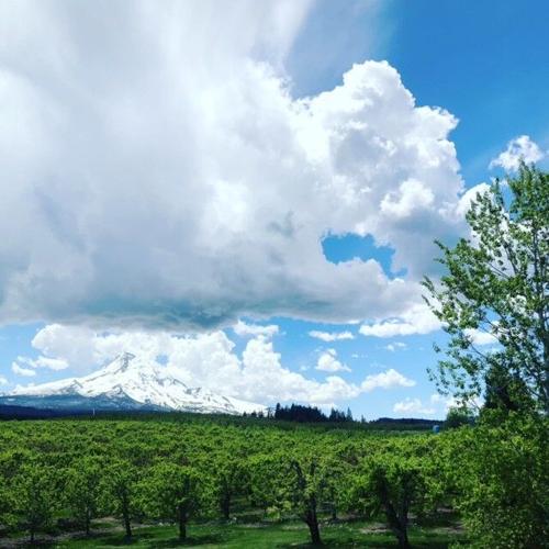 Angry cloud Linda McNaughton