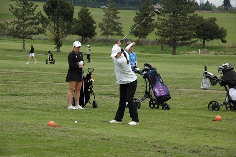 0306 TD golf file