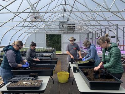 B11 Spring plant sales scheduled ONE PIC.jpg