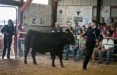 Sherman County Fair 4-H Grand Champion and Reserve Grand Champion results