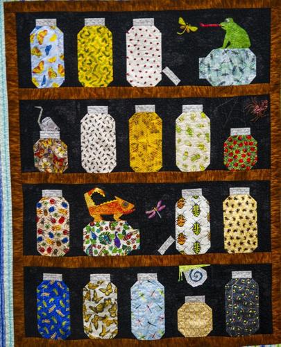 Charlie's Bug Collection