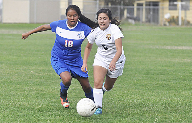 Manzo leads TD’s scoring surge