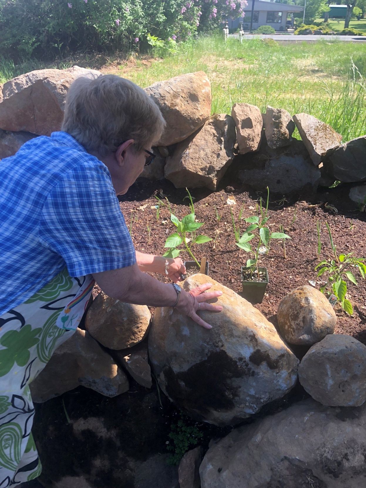 A1 Diversity Studio katie.jpg