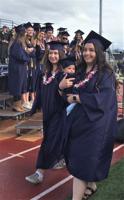 Roots and Branches: Schools and life lessons