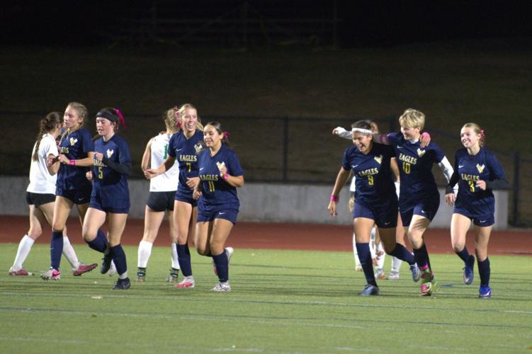 1200 Eagles celebrate after successful team-play goal  by Davina.jpg