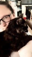 Cat’s life saved by surprising blood transfusion – from the vet’s pet dog