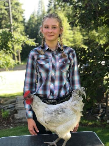 HR 4-h Julia Bounds Chicken.jpg