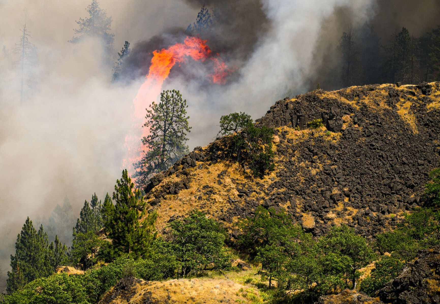 2025-06-11 Rowena Fire 043-2.jpg