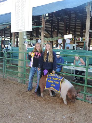 Spotting some big assists at the County Fair