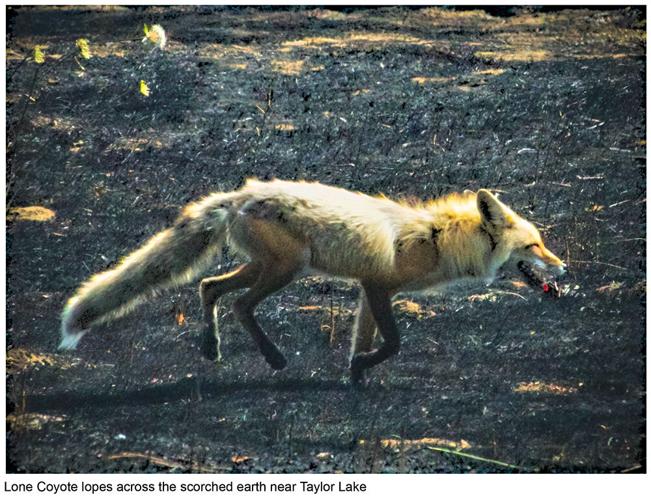 Riverfront Trail Notes #42