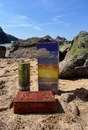 Woman’s suitcase containing late partner’s ashes taken from train by mistake