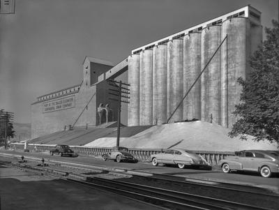 Sept 22 1950 Wheat Storage Pile Continentel Grain