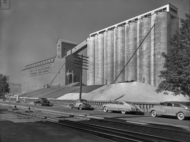 Sept 22 1950 Wheat Storage Pile Continentel Grain