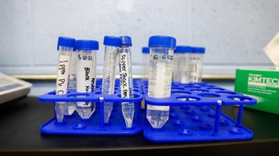 Are we exposed to more heavy metals today?