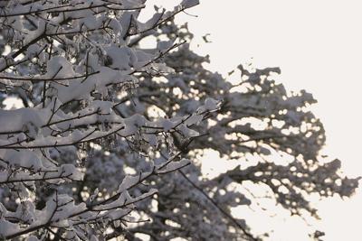 Winter Driving Safety: What To Do and What to Know