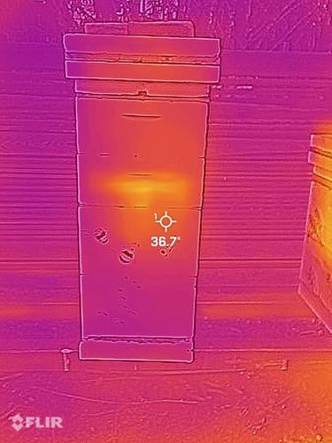 Winter Cluster Hive #2.jpeg