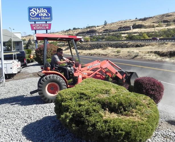 Local economy riding high on renovations