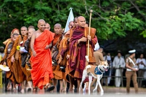 Vietnamese Buddhist monk Pannakara, accompanied by a rescued stray dog, ended a gruelling barefoot walk across Sri Lanka with an appeal for world peace and kindness towards animals